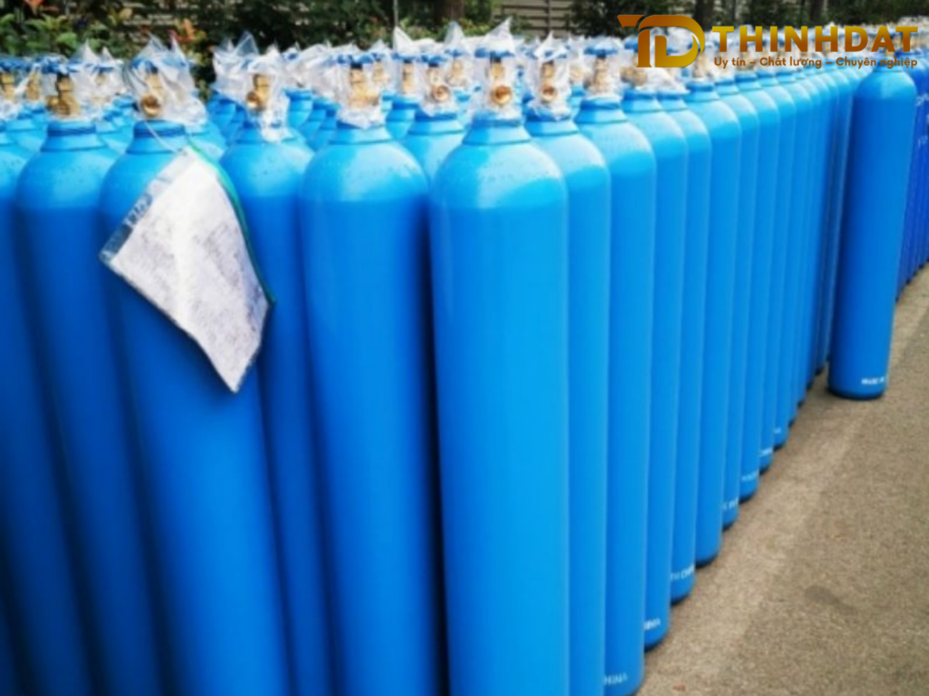 5 sai lầm khi thuê bình oxy y tế mà nhiều người vẫn mắc phải